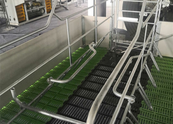 ποιότητας  Fabricated Prefab Steel Structure Pig House Galvanised Industrial εργοστάσιο