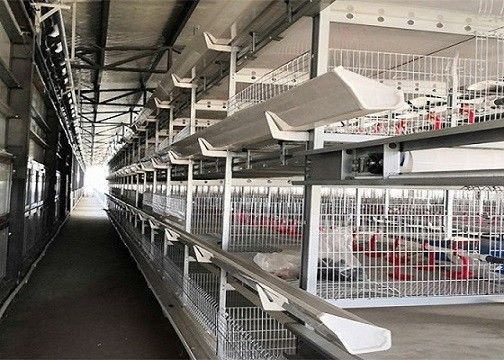 Προκατασκευασμένο σπίτι κοτόπουλου αγροτικών πουλερικών δομών cOem/χάλυβα ODM στρώμα