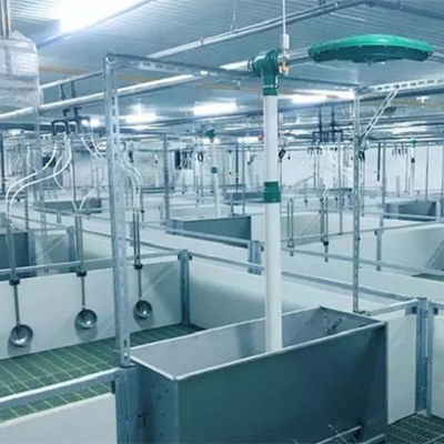 Ελαφριά γαλβανισμένα Prefab σπίτι γεωργικά κτήρια χοίρων δομών χάλυβα