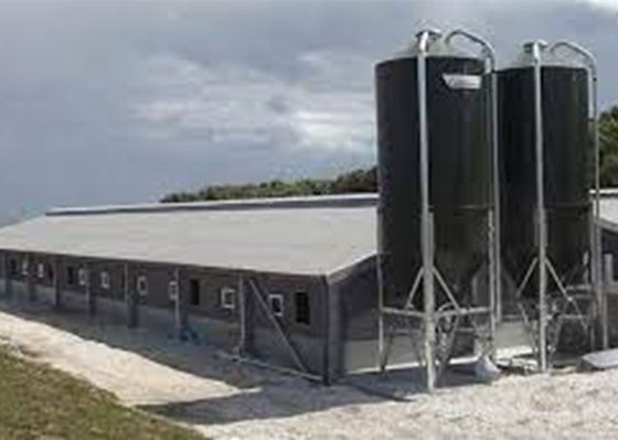 Prefab χάλυβα πύλη πλαισίων δομών σπίτι χοίρων κατασκευής Windproof