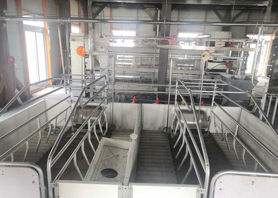 Prefab χάλυβα πύλη πλαισίων δομών σπίτι χοίρων κατασκευής Windproof