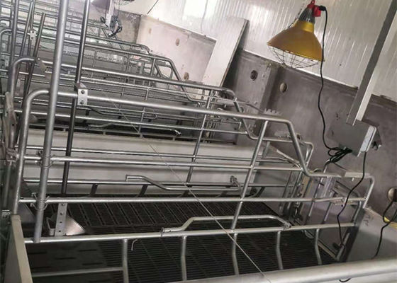 Prefab χάλυβα πύλη πλαισίων δομών σπίτι χοίρων κατασκευής Windproof