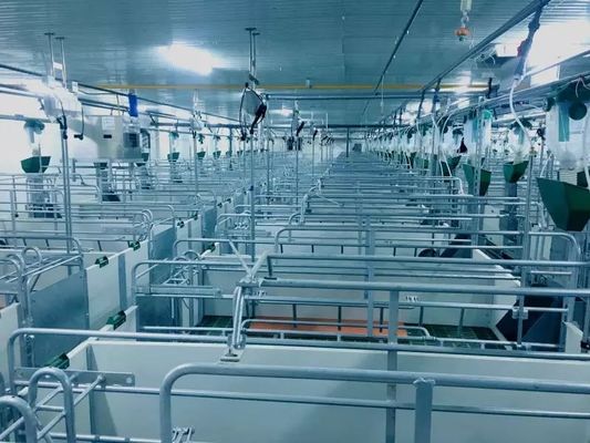 Αλεξίπυρα Prefab αγροτικά κτήρια σπιτιών χοίρων δομών cOem/χάλυβα ODM