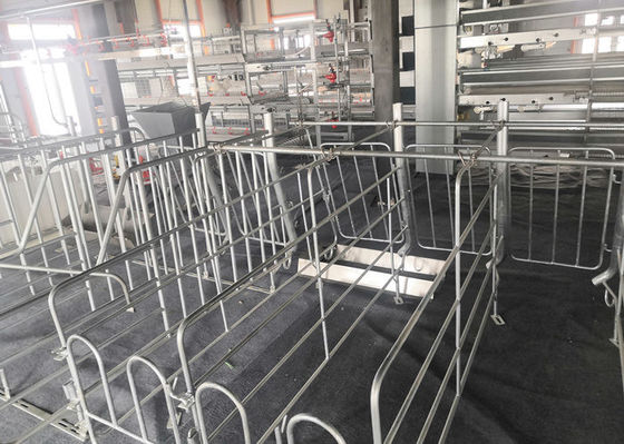 Το κατασκευασμένο Prefab σπίτι χοίρων δομών χάλυβα γαλβάνισε βιομηχανικό