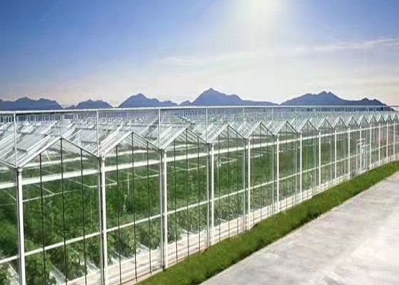 Daman Venlo Γυάλινο Θερμοκήπιο Μαζική Φύτευση Τομάτας Γαλβανισμένη εν θερμώ
