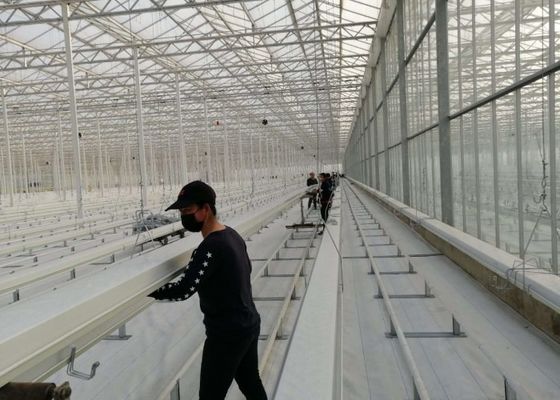 Daman Venlo Γυάλινο Θερμοκήπιο Μαζική Φύτευση Τομάτας Γαλβανισμένη εν θερμώ