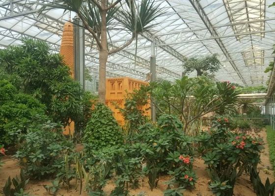 Green Plant Garden Tempered Glass Greenhouse για μεγάλα διακοσμητικά λουλούδια