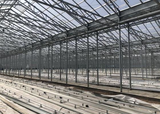 Green Plant Garden Tempered Glass Greenhouse για μεγάλα διακοσμητικά λουλούδια