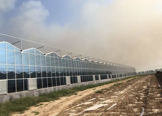 Green Plant Garden Tempered Glass Greenhouse για μεγάλα διακοσμητικά λουλούδια