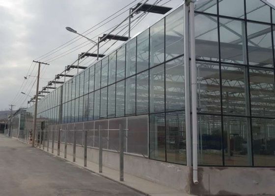 Αρίστης ποιότητας γαλβανισμένη κάλυψη γυαλιού θερμοκηπίων σωλήνων εμπορική
