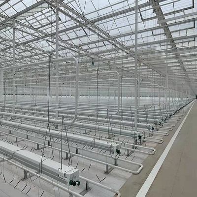 Πείραμα διδασκαλίας της καλλιέργειας ντομάτας σε γυάλινο θερμοκήπιο
