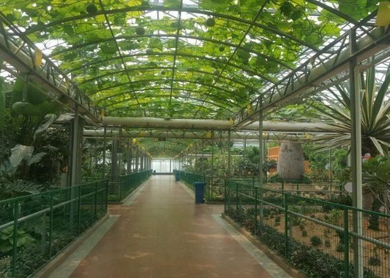 Αρίστης ποιότητας γαλβανισμένος θερμοκήπιο σωλήνας γυαλιού Venlo εμπορικός