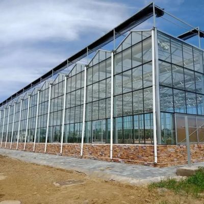Φυτική πολυστρωματική φύτευση θερμοκηπίων γυαλιού πολιτισμού καλλιέργειας έξω από τη γη