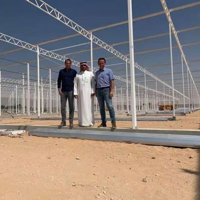 Φυτική πολυστρωματική φύτευση θερμοκηπίων γυαλιού πολιτισμού καλλιέργειας έξω από τη γη