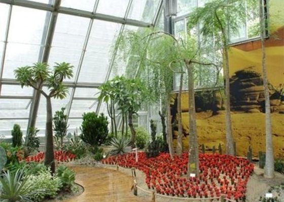 Χειμερινό κήπο Sunlight Δωμάτιο Μικρό Ατσάλινο Venlo Γυάλινο Θερμοκήπιο Χαλαρό