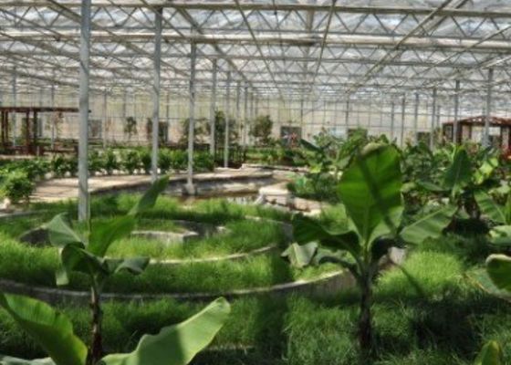 Γαλβανισμένο εστιατόριο διαμορφωμένο συνήθεια 4600㎡ θερμοκηπίων επίσκεψης σωλήνων
