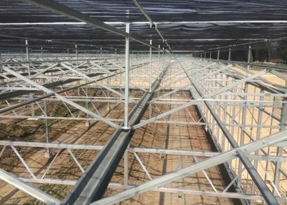 Επισκέψεις Κλιμακώδεις θερμοκηπίες με σχήμα γυαλιού