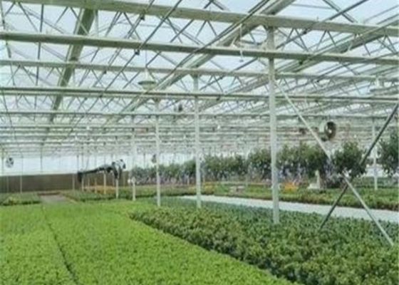 Διαμορφωμένη συνήθεια αναπαραγωγή κρεβατιών θερμοκηπίων/βρεφικών σταθμών σποροφύτων γυαλιού/κινητό φυτώριο