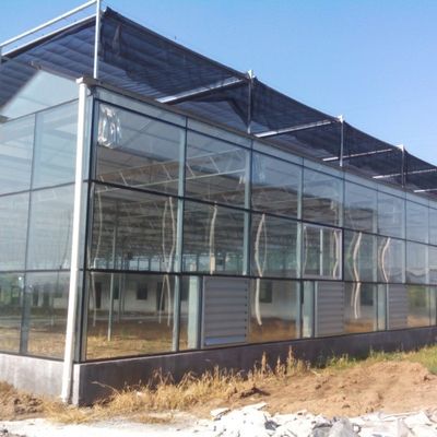 Γυάλινο θερμοκήπιο για φυτά υψηλής απόδοσης για ντομάτες / αγγούρια