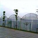 Θερμοκήπιο φιλμ PO συνεχούς ανοίγματος για αύξηση της απόδοσης λαχανικών