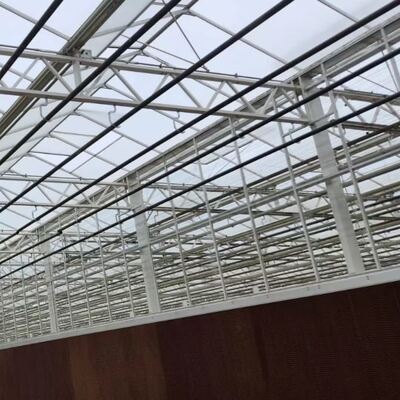 Θερμοκήπιο Παρατήρησης Γυαλιού Venluo - Θερμοκήπιο Μεγάλης Κλίμακας για Καλλιέργεια Λαχανικών