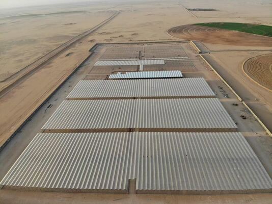 Γεωργική χρήση φύτευσης, θερμοκήπιο γυαλιού Wannuo για θέαμα