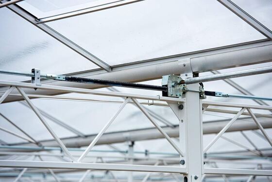 Γεωργική χρήση φύτευσης, θερμοκήπιο γυαλιού Wannuo για θέαμα