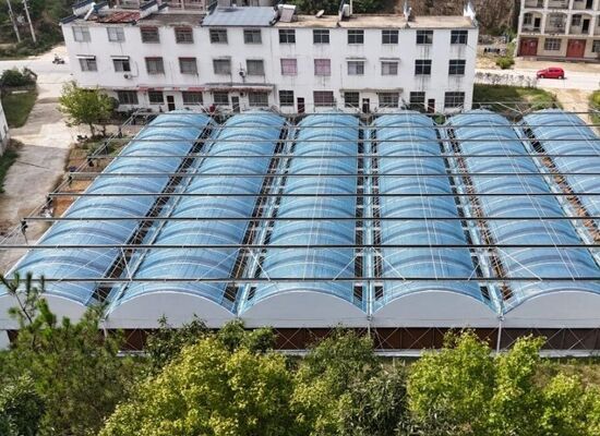 Ένα θερμοκήπιο συνεχούς διάστασης από πολυαιθυλένιο που χρησιμοποιείται για την αύξηση της απόδοσης των λαχανικών και την επιτάχυνση της διαδικασίας ωρίμανσης των λαχανικών