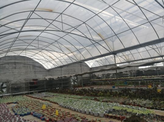 Ένα θερμοκήπιο συνεχούς διάστασης από πολυαιθυλένιο που χρησιμοποιείται για την αύξηση της απόδοσης των λαχανικών και την επιτάχυνση της διαδικασίας ωρίμανσης των λαχανικών