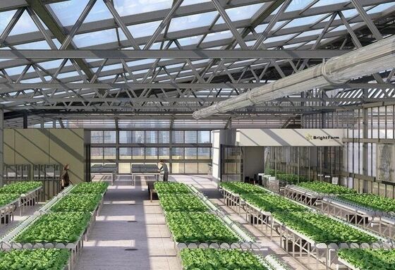 Κλινοξύστης τουριστικού γυαλιού Wenlu - Κλινοξύστης για τη φυτική καλλιέργεια σε μεγάλη κλίμακα