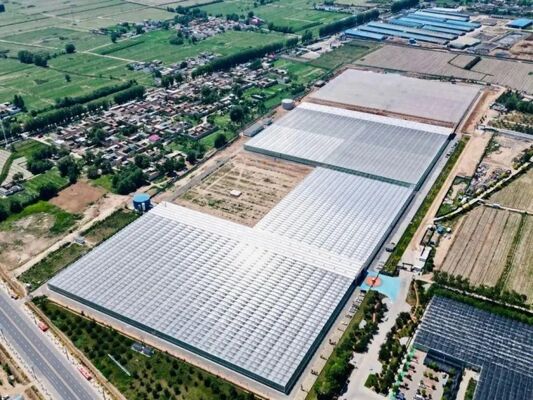 Φρουτοκαλλιεργητικό θερμοκήπιο, μεγάλο θερμοκήπιο γυαλιού Woonloos