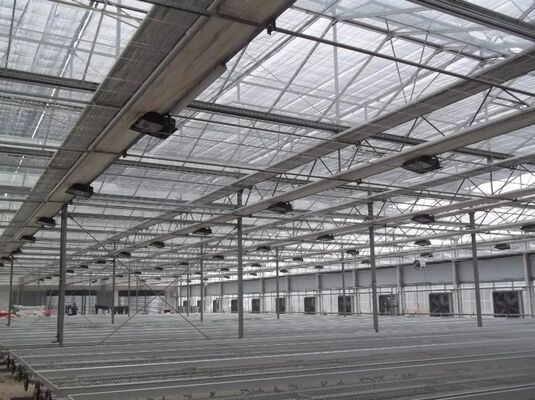 Φρουτοκαλλιεργητικό θερμοκήπιο, μεγάλο θερμοκήπιο γυαλιού Woonloos